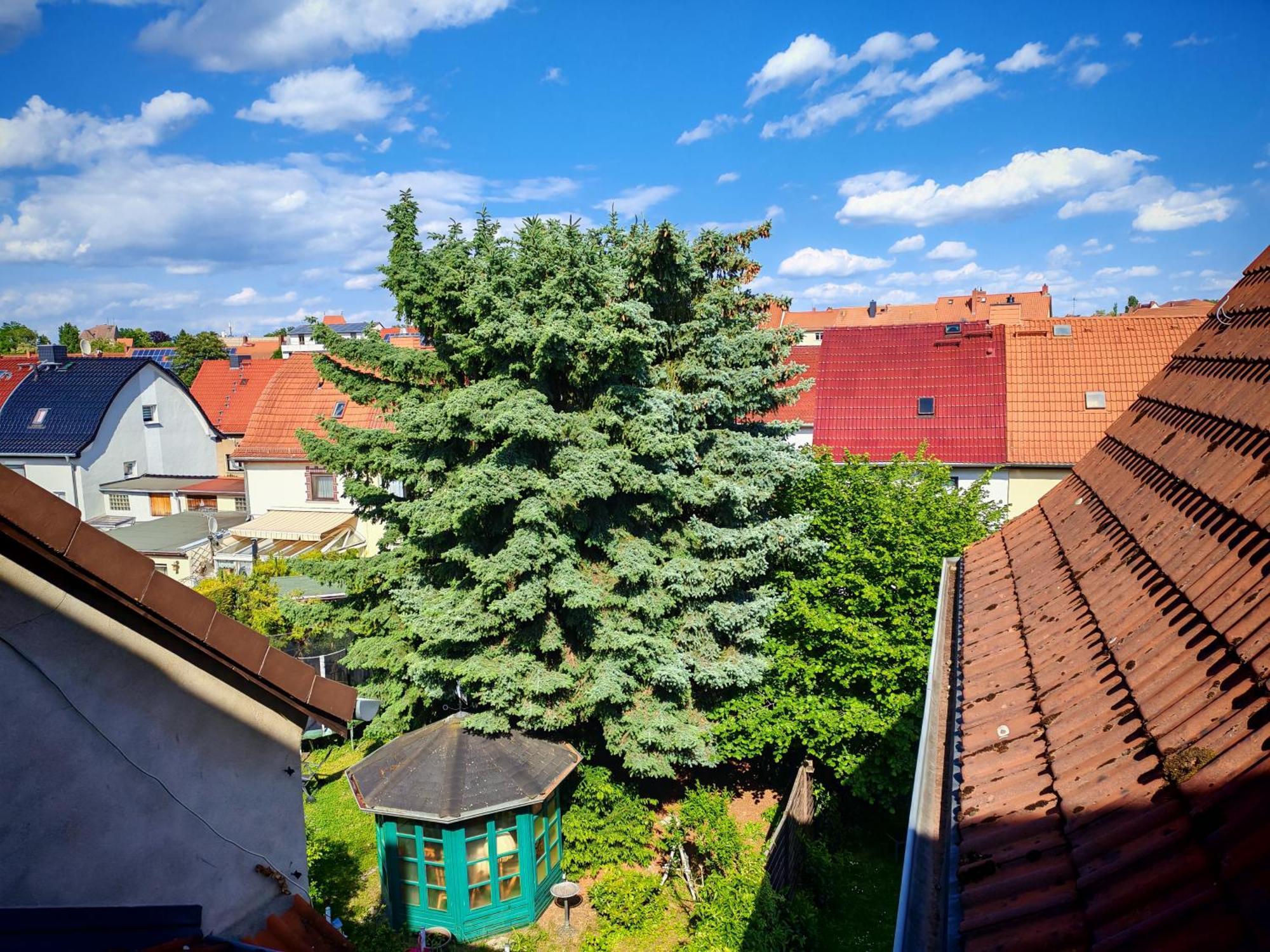 מרסבורג Domstadt Apartments מראה חיצוני תמונה